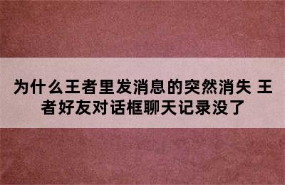 为什么王者里发消息的突然消失 王者好友对话框聊天记录没了